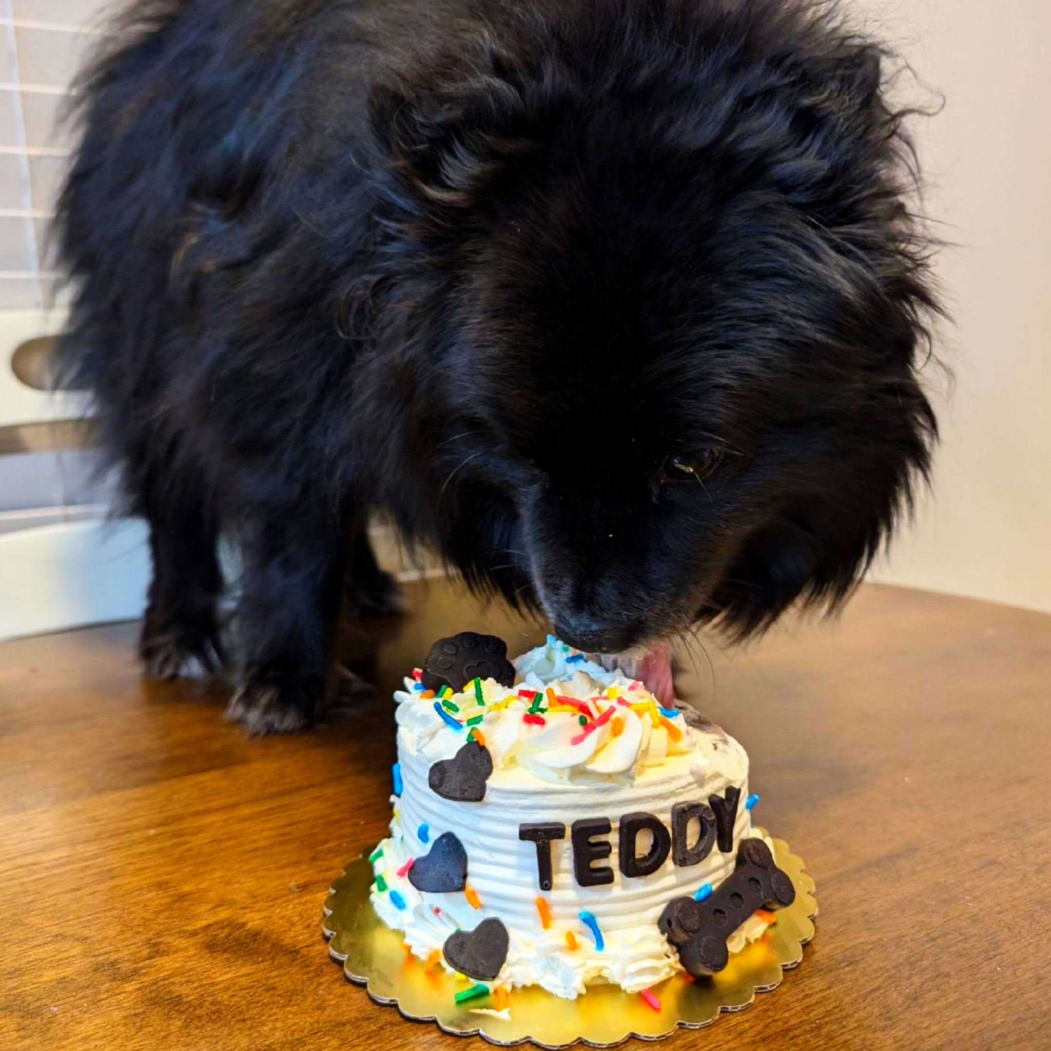 Pumpkin Cream Dog Cake Treat – Woof N' Bake